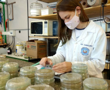 Acontece nos Estados Unidos a Regeneron ISEF 2021, maior feira internacional de Ciências e Engenharia, que este ano é realizada com participações virtuais devido à pandemia