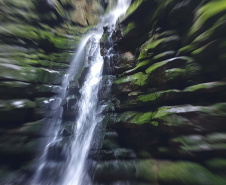 Ainda nesta quarta-feira, o secretário do Desenvolvimento Sustentável e do Turismo conheceu o modelo de administração adotado no Buraco do Padre, também em Ponta Grossa, que teve sua exploração comercial direta autorizada pelo ICMBio, no modelo de Parceria Público Privada (PPP). O atrativo integra o Parque Nacional dos Campos Gerais.  19/05/2021  -  Foto: SEDEST/IAT