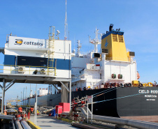 Porto de Paranaguá recebe maior navio tanque da história. Foto: Claudio Neves