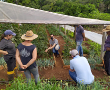 O serviço de Extensão Rural do Paraná completa 65 anos de atuação. Desde a criação do Escritório Técnico de Agricultura (ETA), em 20 de maio de 1956, profissionais de diversas áreas atuam para promover o desenvolvimento rural sustentável, coordenando, articulando e executando assistência técnica e extensão rural junto aos produtores. - Curitiba, 21/05/2021  -  Foto: IDR/PR