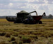 Colheita de arroz - Fazendas Volta Grande e Nova Brasília.Foto: Ari Dias/AEN