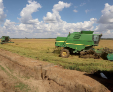 Colheita de arroz - Fazendas Volta Grande e Nova Brasília.Foto: Ari Dias/AEN