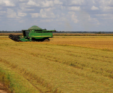 Colheita de arroz - Fazendas Volta Grande e Nova Brasília.Foto: Ari Dias/AEN