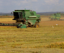 Colheita de arroz - Fazendas Volta Grande e Nova Brasília.Foto: Ari Dias/AEN