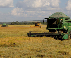 Colheita de arroz - Fazendas Volta Grande e Nova Brasília.Foto: Ari Dias/AEN