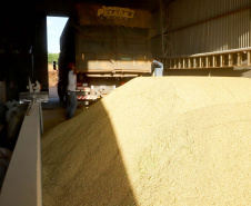 Colheita de arroz - Fazendas Volta Grande e Nova Brasília.Foto: Ari Dias/AEN