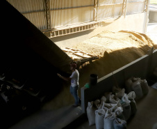 Colheita de arroz - Fazendas Volta Grande e Nova Brasília.Foto: Ari Dias/AEN