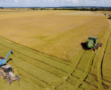 Colheita de arroz - Fazendas Volta Grande e Nova Brasília.Foto: Ari Dias/AEN