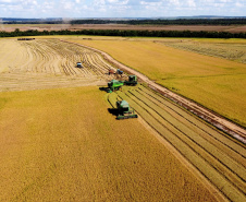 Colheita de arroz - Fazendas Volta Grande e Nova Brasília.Foto: Ari Dias/AEN