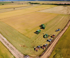 Colheita de arroz - Fazendas Volta Grande e Nova Brasília.Foto: Ari Dias/AEN