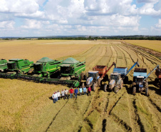 Colheita de arroz - Fazendas Volta Grande e Nova Brasília.Foto: Ari Dias/AEN