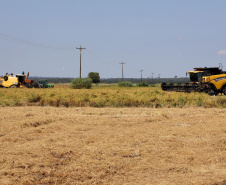 Fazenda Bassani em Santa Isabel do Ivaí. Foto: Ari Dias/AEN