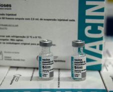 O Centro de Medicamentos do Paraná (Cemepar) enviou nesta sexta-feira (21) o maior quantitativo de insumos em um só dia desde o início do combate a Covid-19 no Estado. Ao todo, 1.114.257 unidades estão sendo enviadas para as 22 Regionais de Saúde.  -  Curitiba, 21/05/2021  -  Foto: Américo Antonio/SESA