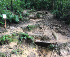 As trilhas do Parque Estadual Pico do Paraná e do Morro do Anhangava, atrativo do Parque Estadual Serra da Baitaca, receberam manutenção através de voluntários, neste final de semana. Ambos estão localizados na Região Metropolitana de Curitiba (RMC). -  Curitiba, 14/05/2021  -  Foto: Divulgação SEDEST