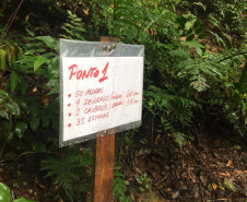 As trilhas do Parque Estadual Pico do Paraná e do Morro do Anhangava, atrativo do Parque Estadual Serra da Baitaca, receberam manutenção através de voluntários, neste final de semana. Ambos estão localizados na Região Metropolitana de Curitiba (RMC). -  Curitiba, 14/05/2021  -  Foto: Divulgação SEDEST