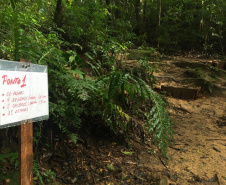 As trilhas do Parque Estadual Pico do Paraná e do Morro do Anhangava, atrativo do Parque Estadual Serra da Baitaca, receberam manutenção através de voluntários, neste final de semana. Ambos estão localizados na Região Metropolitana de Curitiba (RMC). -  Curitiba, 14/05/2021  -  Foto: Divulgação SEDEST