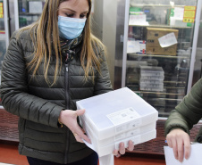 O Governo do Estado descentralizou vacinas contra a Covid-19 da Pfizer/BioNTech para nove municípios do Paraná nesta segunda-feira (24). Ao todo 39.780 doses foram distribuídas para Curitiba, Ponta Grossa, Guarapuava, Foz do Iguaçu, Araucária, Campo Largo, São José dos Pinhais, Colombo e Pinhais. -  24/05/2021  -  Foto: Américo Antonio/SESA