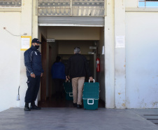 O Governo do Estado descentralizou vacinas contra a Covid-19 da Pfizer/BioNTech para nove municípios do Paraná nesta segunda-feira (24). Ao todo 39.780 doses foram distribuídas para Curitiba, Ponta Grossa, Guarapuava, Foz do Iguaçu, Araucária, Campo Largo, São José dos Pinhais, Colombo e Pinhais. -  24/05/2021  -  Foto: Américo Antonio/SESA