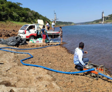 Em quatro meses, rios do Paraná são repovoados com 500 mil peixes nativos. Foto: SEDEST