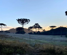 -3,3°C. Esta é a temperatura mais baixa registrada no Paraná em 2021, atingida nesta terça-feira (25) em General Carneiro, na região Sul do Estado. Outros três municípios também registraram temperaturas mínimas negativas: Guarapuava (-0,4°C), Palmas (-1,2°C) e São Mateus do Sul (-1,9°C). As informações são do Sistema de Tecnologia e Monitoramento Ambiental do Paraná (Simepar).  -  Curitiba, 25/05/2021  -  Foto: Ana Tigrinho/AEN