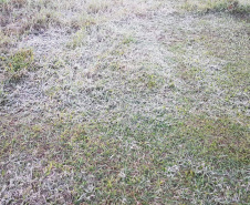 Paraná registra novas temperaturas negativas com a mais intensa massa de ar frio do ano. Foto: Alessandro Vieira/AEN