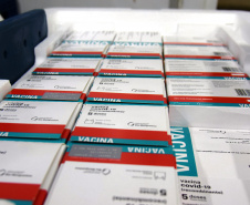 A Secretaria de Estado da Saúde (Sesa) recebeu na noite desta terça-feira (26), 352.750 doses da vacina AstraZeneca/Fiocruz, contra a Covid-19.   -  Curiti, 26/05/2021  -  Foto: Américo Antonio/SESA