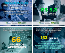 O Paraná foi o estado com o maior número de projetos aprovados na Chamada Recursos Humanos em Áreas Estratégicas (RHAE) - Pesquisador na Empresa Incubada. Dos 66 projetos que serão contratados, 14 são do Paraná. Rio Grande do Sul teve 10 projetos aprovados e São Paulo e Santa Catarina tiveram sete cada. Os demais estados tiveram menor número de projetos aprovados. - Foto: Mariana Galiza/Fundação Araucária