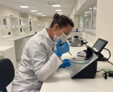 O Paraná foi o estado com o maior número de projetos aprovados na Chamada Recursos Humanos em Áreas Estratégicas (RHAE) - Pesquisador na Empresa Incubada. Dos 66 projetos que serão contratados, 14 são do Paraná. Rio Grande do Sul teve 10 projetos aprovados e São Paulo e Santa Catarina tiveram sete cada. Os demais estados tiveram menor número de projetos aprovados.  -  Foto: SETI