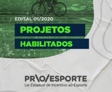 A Superintendência Geral do Esporte torna pública a Lista dos projetos habilitados do Edital 01/2020  do Programa Estadual de Fomento e Incentivo ao Esporte (PROESPORTE) do Edital 01/2020 .  -  Curitiba, 21/05/2021  -  Foto: Paraná Esporte