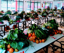 Nesta sexta-feira (28), os colégios estaduais vão realizar a quinta entrega de alimentos do ano para as famílias mais vulneráveis da comunidade escolar. Novamente, todas as 2,1 mil escolas da rede vão distribuir kits de alimentos não perecíveis, como aconteceu na terceira entrega, no fim de abril, além de produtos da agricultura familiar.  -  Curitiba, 27/05/2021  -  Foto: Divulgação SEED