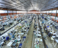 CAGED - Paraná tem melhor quadrimestre na geração de empregos em 11 anos  -  Foto: José Fernando Ogura/AEN