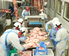 Com fim da vacinação, indústrias de carne planejam investimentos bilionários no Paraná. Foto: José Fernando Oura/AEN