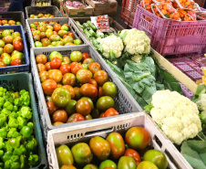 O Departamento de Segurança Alimentar e Nutricional (Desan), da Secretaria de Estado da Agricultura e do Abastecimento, publicou nesta sexta-feira (28) a relação de pequenas cooperativas e associações da agricultura familiar habilitadas no EDITAL  de chamada pública, do programa Compra Direta Paraná. As organizações participantes têm prazo até terça-feira (01/06) para, se quiserem, apresentar pedido de revisão do resultado.  -  Foto: Arquivo AEN