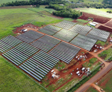 A Copel colocou em operação hoje, dia 1º, as três primeiras unidades geradoras da Usina Solar Fotovoltaica Bandeirantes, construída no norte do Paraná. Inicialmente a usina vai funcionar com 3 MWp (megawatt-pico, unidade de potência de energia fotovoltaica). - Curitiba, 01/03/2021  -  Foto: Divulgação Copel