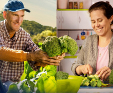 Para garantir alimentos com alto valor nutricional na mesa dos paranaenses, o Governo do Estado desenvolve ações em diversas frentes