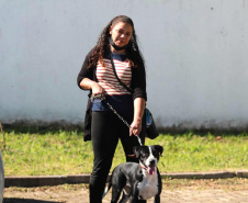 Equipes do Programa Permanente de Castração de Cães e Gatos (CastraPet), da Secretaria de Estado do Desenvolvimento Sustentável e do Turismo (Sedest), concluíram neste sábado (29) a castração de 719 animais em Piraquara. O Município é um dos últimos do ciclo que encerra no final de junho, com atendimento em 45 localidades e 15 mil pets castrados.  -  Piraquara, 29/05/2021  - Foto: Alessandro Vieira/AEN