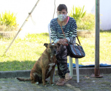 Equipes do Programa Permanente de Castração de Cães e Gatos (CastraPet), da Secretaria de Estado do Desenvolvimento Sustentável e do Turismo (Sedest), concluíram neste sábado (29) a castração de 719 animais em Piraquara. O Município é um dos últimos do ciclo que encerra no final de junho, com atendimento em 45 localidades e 15 mil pets castrados.  -  Piraquara, 29/05/2021  - Foto: Alessandro Vieira/AEN