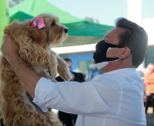 Equipes do Programa Permanente de Castração de Cães e Gatos (CastraPet), da Secretaria de Estado do Desenvolvimento Sustentável e do Turismo (Sedest), concluíram neste sábado (29) a castração de 719 animais em Piraquara. O Município é um dos últimos do ciclo que encerra no final de junho, com atendimento em 45 localidades e 15 mil pets castrados.  -  Piraquara, 29/05/2021  - Foto: Alessandro Vieira/AEN