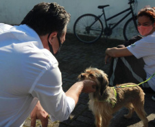 Equipes do Programa Permanente de Castração de Cães e Gatos (CastraPet), da Secretaria de Estado do Desenvolvimento Sustentável e do Turismo (Sedest), concluíram neste sábado (29) a castração de 719 animais em Piraquara. O Município é um dos últimos do ciclo que encerra no final de junho, com atendimento em 45 localidades e 15 mil pets castrados.  -  Piraquara, 29/05/2021  - Foto: Alessandro Vieira/AEN