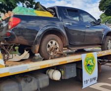 Um adolescente, de 17anos, foi apreendido após fugir de uma abordagem policial em uma caminhonetecom 1,2 tonelada de maconha na manhã deste domingo (30/05), em Cianorte (PR),no Noroeste do estado. Os policiais militares da 5ª Companhia Independente dePolícia Militar (5ª CIPM) seguiram o suspeito até ele colidir o veículo numachácara e tentar escapar a pé, mas ele acabou detido e a droga, apreendida. -  Cianorte, 30/05/2021  -  Foto: PMPR/SESP-PR