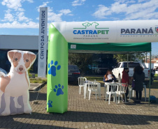 O CastraPet, Programa Permanente de Esterilização de Cães e Gatos, da Secretaria de Estado do Desenvolvimento Sustentável e do Turismo (Sedest), estará em Itaperuçu, a partir do dia 01 até 12 de junho para a castração de 553 animais. Com Itaperuçu, a equipe do CastraPet completa 44 municípios beneficiados.  Itaperuçu, 31/05/2021  -  Foto: SEDEST