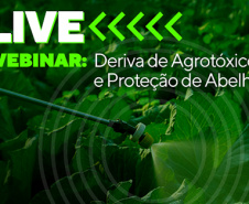 Webinar Adapar sobre Deriva de Agrotóxicos e Proteção de Abelhas em Junho -  Curitiba, 01/06/2021  -  Foto: Crea-PR