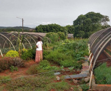 Pesquisadores da Unioeste desenvolvem horta comunitária com plantas medicinais
Caixa de entrada. (foto de antes da pandemia). Foto: Unioeste