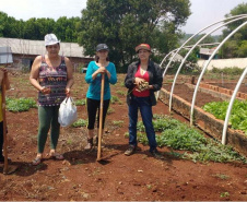 Pesquisadores da Unioeste desenvolvem horta comunitária com plantas medicinais
Caixa de entrada. (foto de antes da pandemia). Foto: Unioeste