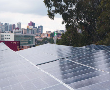 Ações sustentáveis e sistemas da Celepar ajudam na preservação do meio ambiente. Foto: Celepar