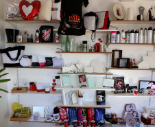 A empreendedora Alessandra Carrijo é dona de um e-commerce de brindes e presentes, que vende canecas, almofadas e kits comemorativos. A principal vitrine da loja virtual são as mídias sociais, em especial pelo Instagram, vendendo para todo o Brasil.  Foto: Ari Dias/AEN