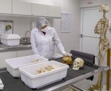 Peritos do Paraná usam antropologia forense para desvendar crimes; conheça o trabalho.
Foto : Gilson Abreu/AEN