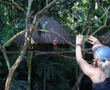 Parque das aves, Foz do Iguaçu. Foto: José Fernando Oura/AEN