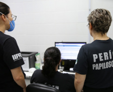 Paraná investe em tecnologias para acelerar a identificação de vítimas e desvendar crimes. Foto: SESP