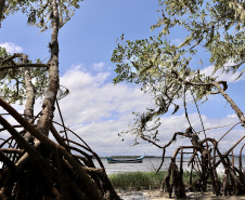 No Dia Mundial dos Oceanos, comemorado nesta terça-feira (8), a Portos do Paraná reforça o compromisso com a preservação do ambiente, que ocupa 71% da superfície da Terra, é importante para a atividade econômica de milhões de famílias, além de ajudar a regular o clima do planeta.  -  Paranaguá, 08/06/2021  -  Foto: Claudio Neves/Portos do Paraná